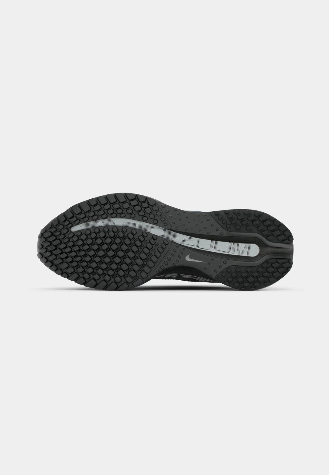 Nike Performance PEGASUS PREMIUM